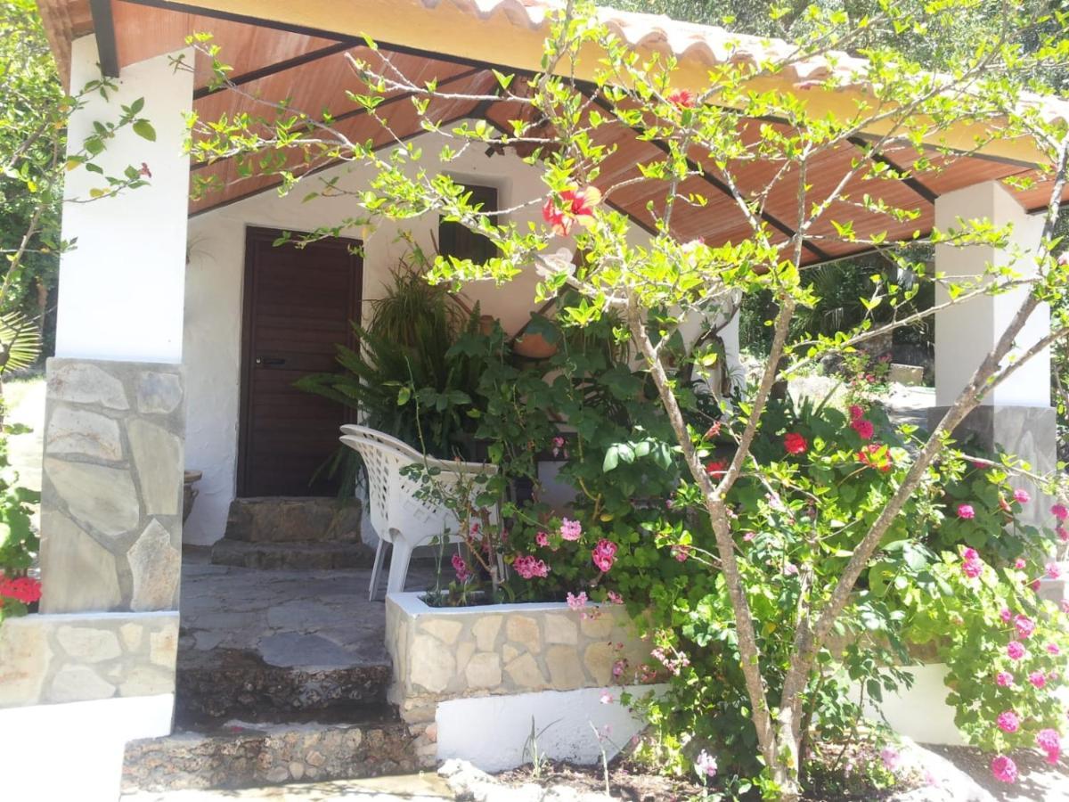 Casa El Cerro Villa El Bosque Exterior photo