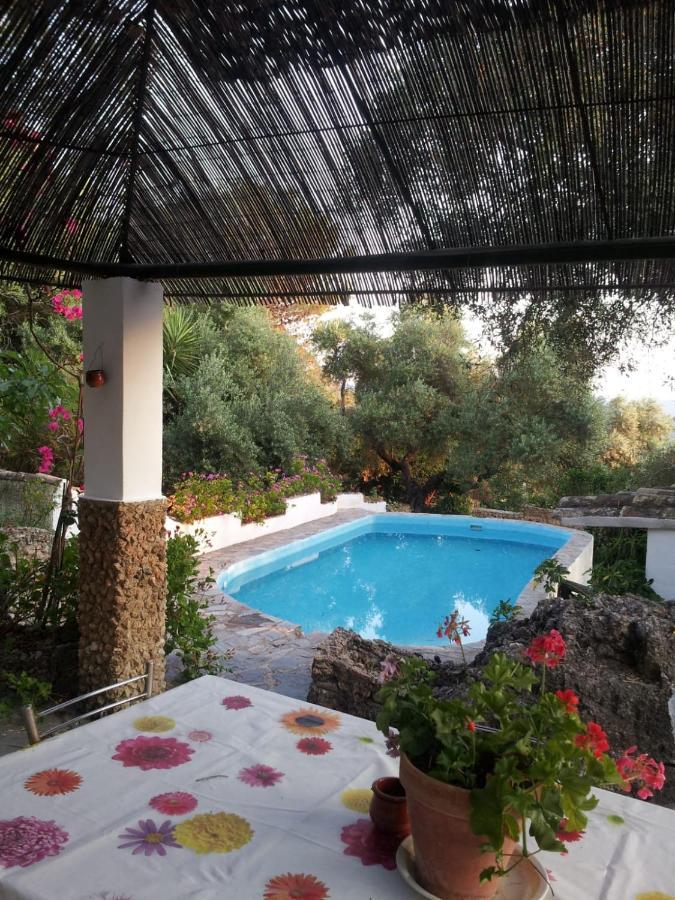 Casa El Cerro Villa El Bosque Exterior photo
